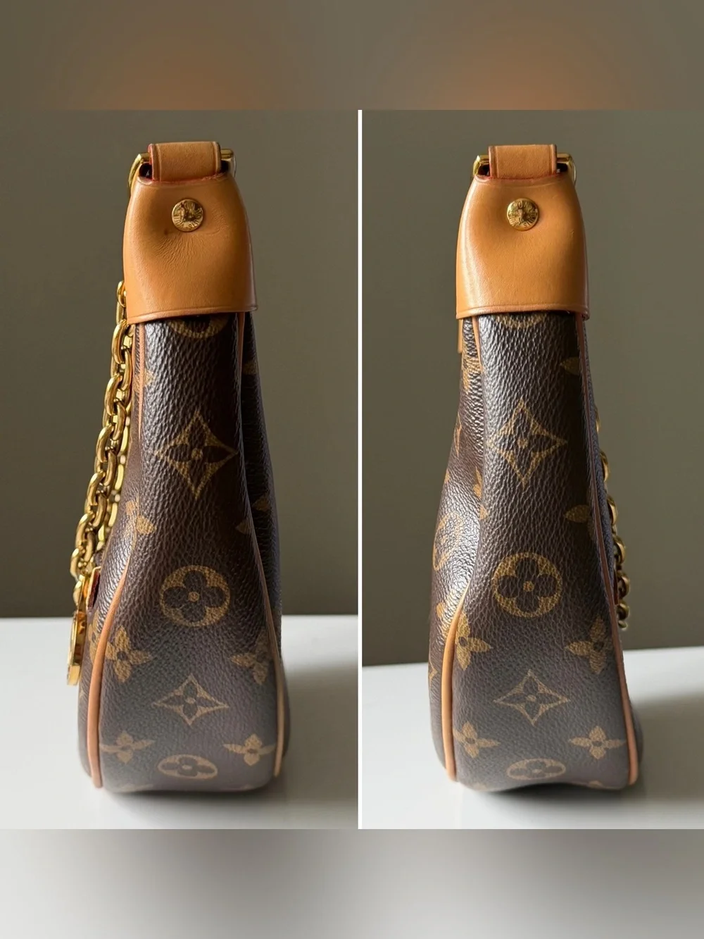 Louis Vuitton Loop Monogram Canvas Shoulder Crossbody Bag